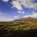 Royal County Down by Aiden Bradley