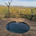 Madikwe Safari Lodge