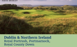 <p>Dublin & Northern Ireland</p>
