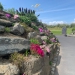 <h2>2023 June Irish Links Golf Cruise</h2>11 Nights | 3-6 Rounds | Dublin - Southampton | June 13 - 24