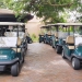 <h2>2020 South African Golf Cruise</h2>10 Nights | 4 Rounds | Cape Town – Cape Town | January 21 – 31