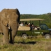 <h2>The Best of South Africa Escorted 2015</h2>13 Nights, 3 on Safari at Shamwari Game Reserve | 5 Rounds | November 1 – 15