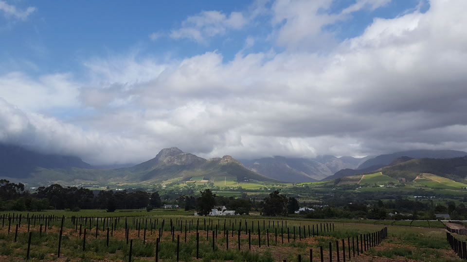 <h2>The Best of South Africa 2017</h2>14 Nights, 4 on Safari | 5 Rounds | Wine Tours & Sightseeing | November 3 – 17