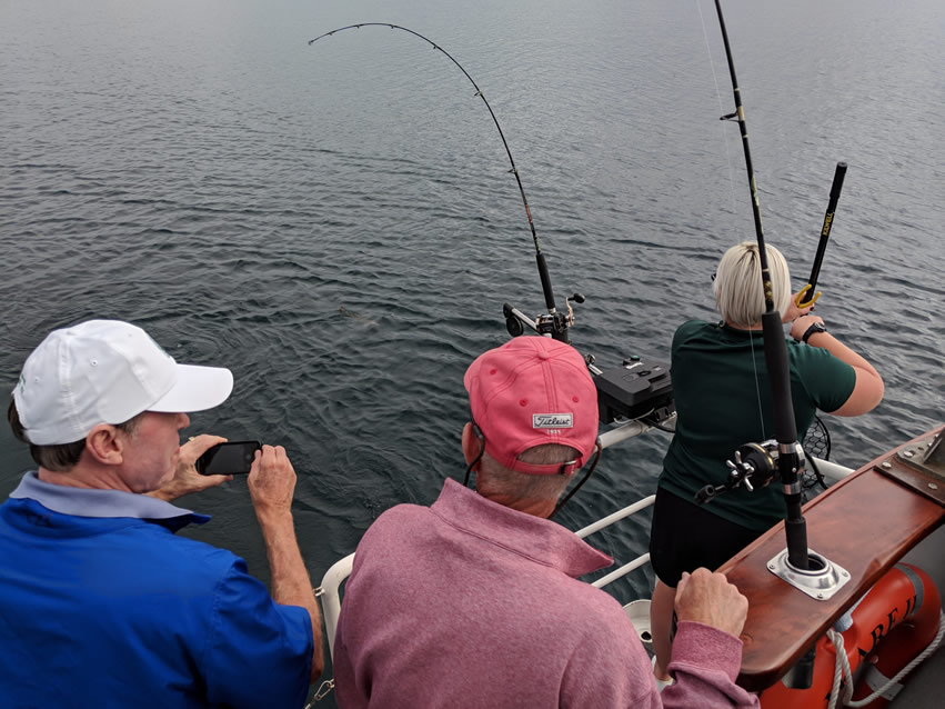 <h2>The Best of New Zealand Escorted 2018</h2>Taupo, Napier, Wellington & Queenstown