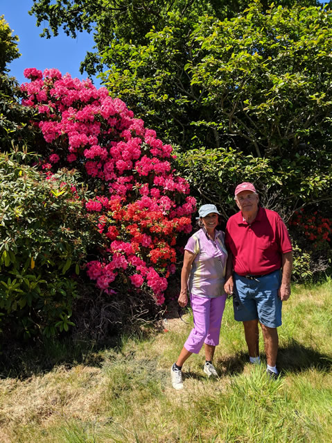 <h2>The Best of New Zealand Escorted 2018</h2>Taupo, Napier, Wellington & Queenstown