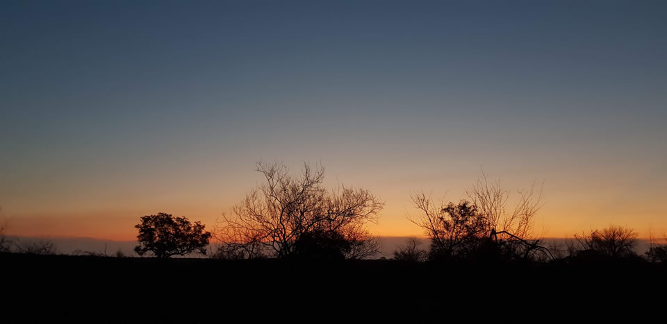 <h2>The Best of South Africa Escorted 2018</h2>Golf, Kruger Safari, Cape Town, the Winelands & Garden Route