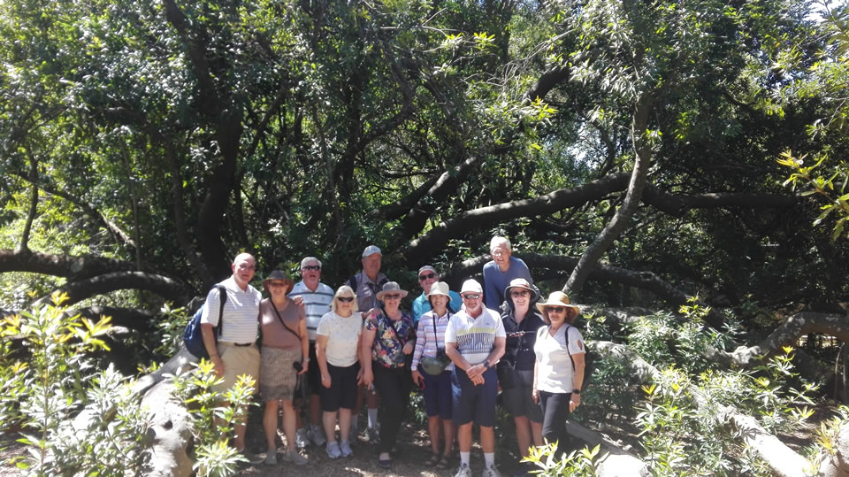 <h2>The Best of South Africa Escorted 2018</h2>Golf, Kruger Safari, Cape Town, the Winelands & Garden Route