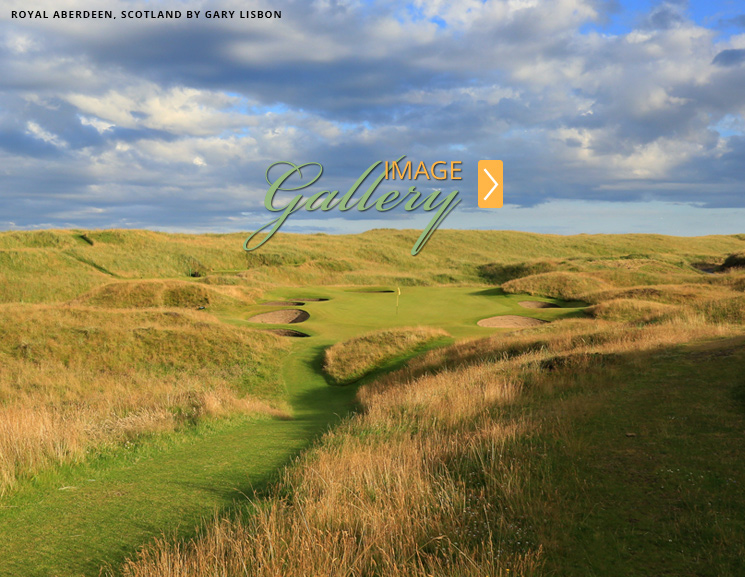 IMAGE Gallery IMAGE Gallery