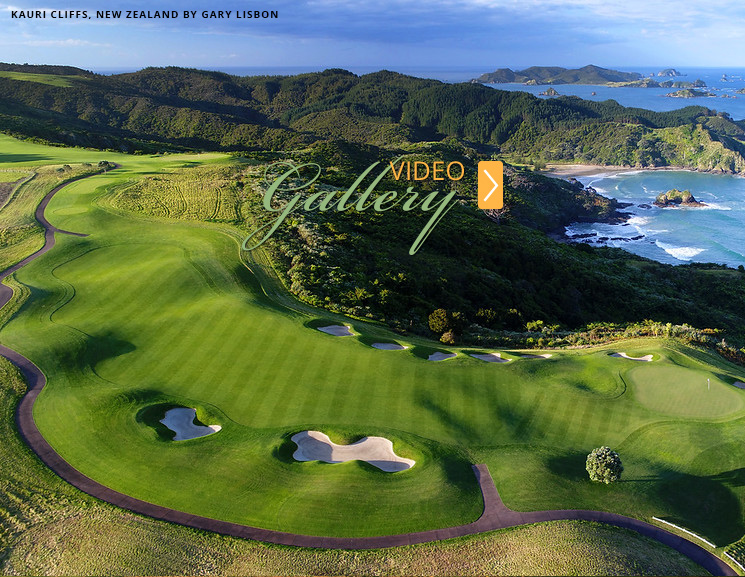 VIDEO Gallery VIDEO Gallery